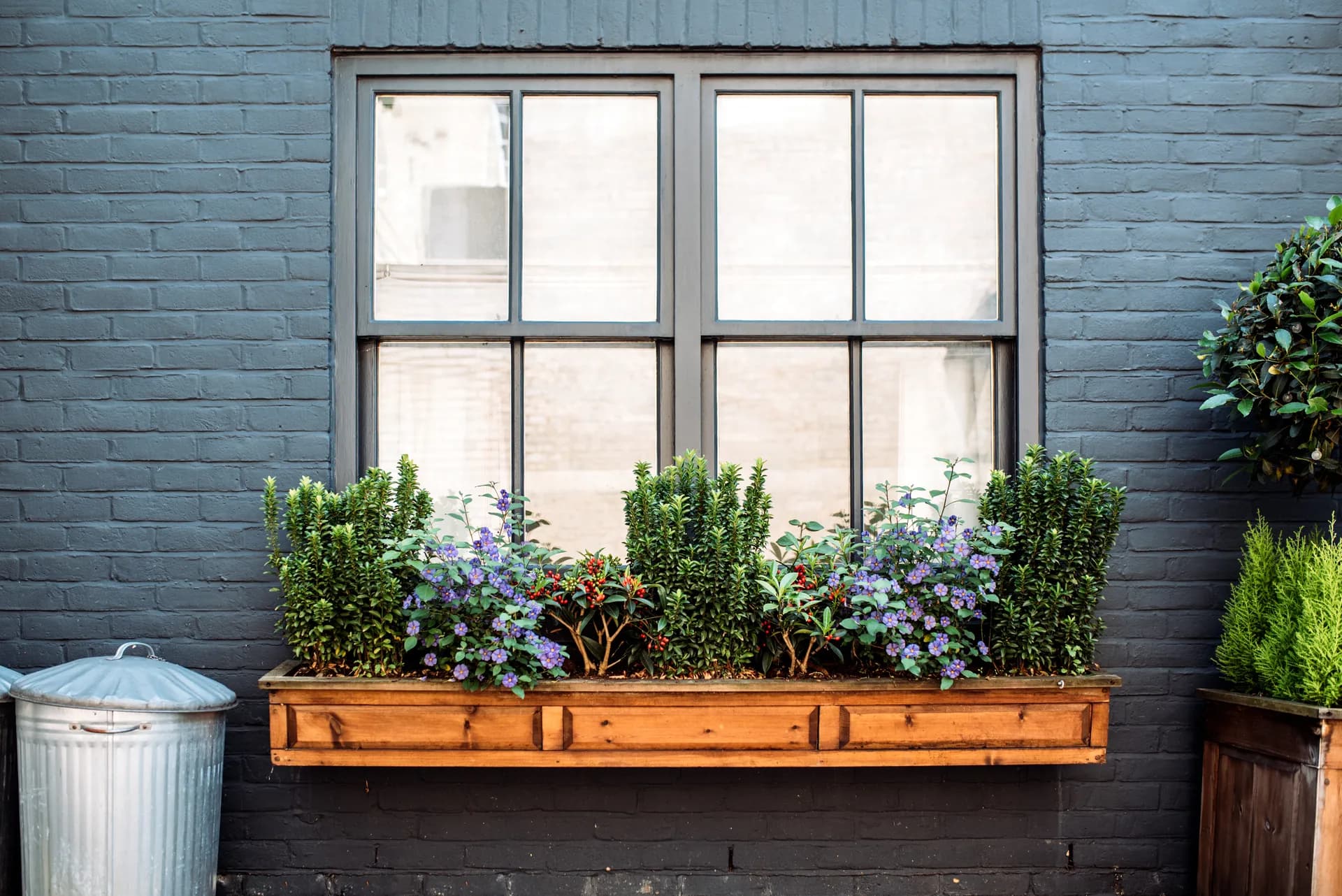 Window with flower box